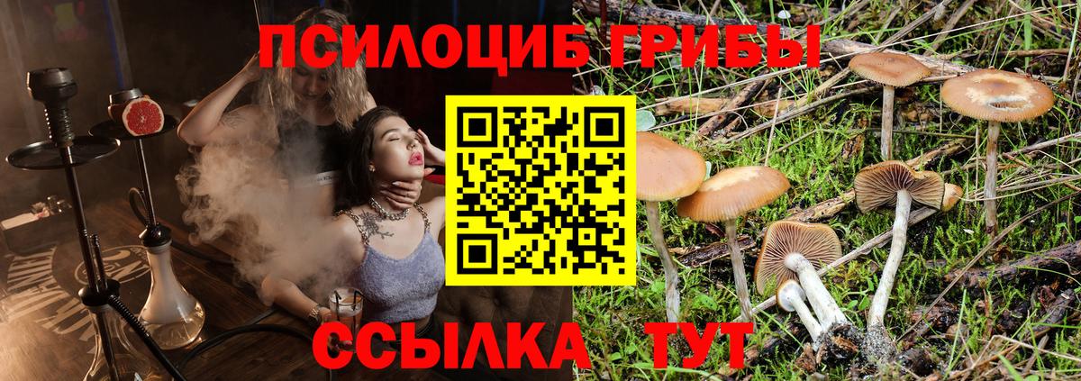 Зима  Галлюциногенные грибы ЛСД  Вход с VPN  Галлюциногенные грибы ЛСД 